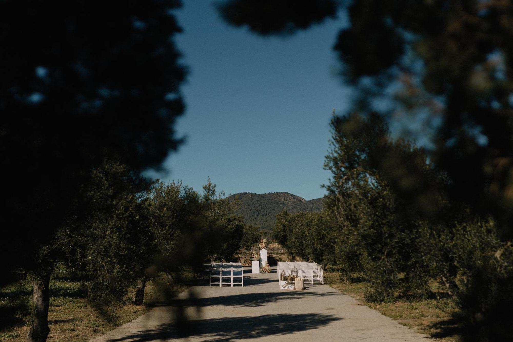 Finca La Concertista Llorenc del Penedes Esterno foto